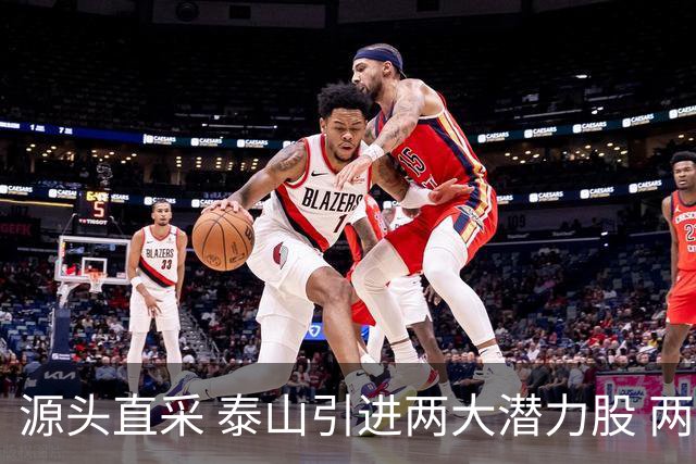 源头直采 泰山引进两大潜力股 两外援抵达济南
